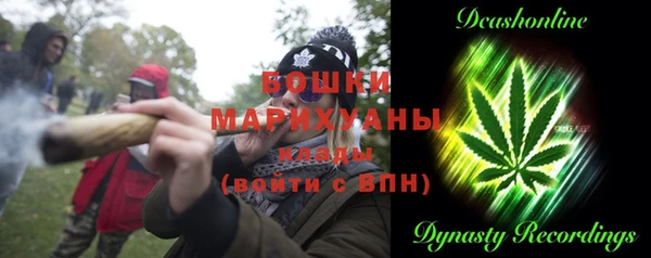 стаф Михайловск