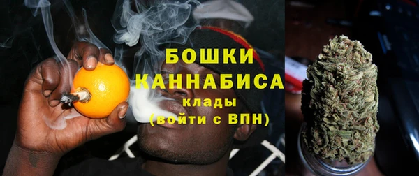 стаф Михайловск