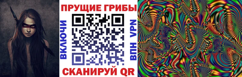 Галлюциногенные грибы Cubensis где продают наркотики Узловая