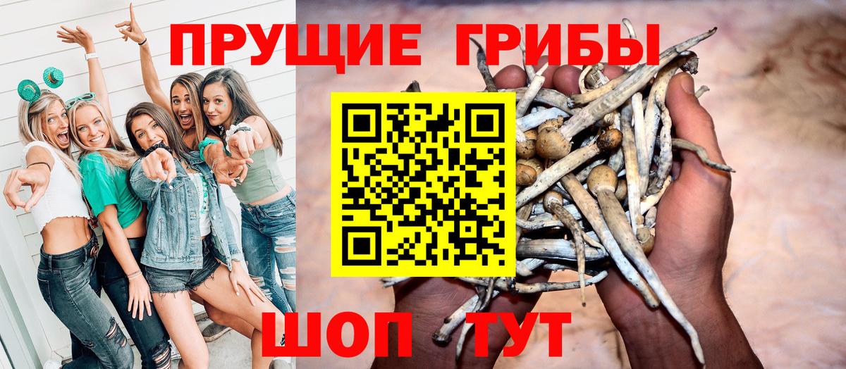 Галлюциногенные грибы Cubensis  Вход с VPN  Узловая 